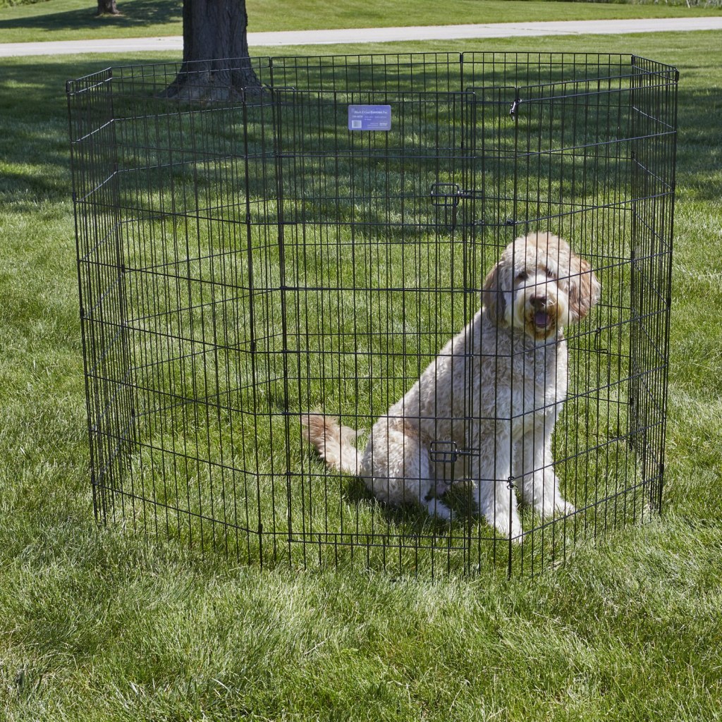 Picture of: Cheap Dog Fence  The Best Affordable Fencing for Dogs