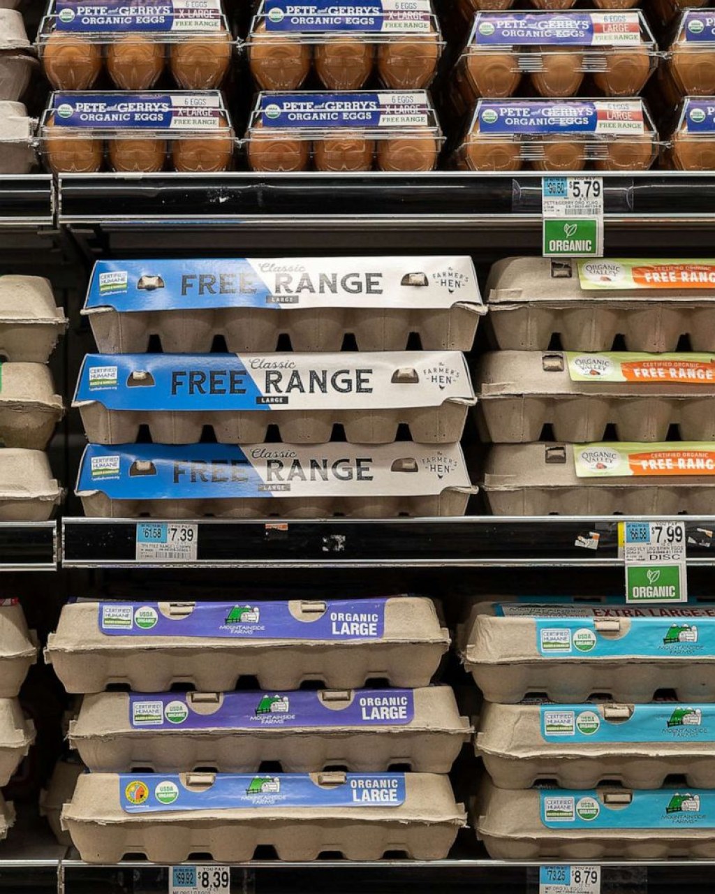 Picture of: Egg prices reach historic highs amid avian flu outbreak, inflation