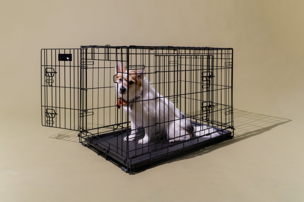 Picture of: The  Best Dog Crates of   Reviews by Wirecutter