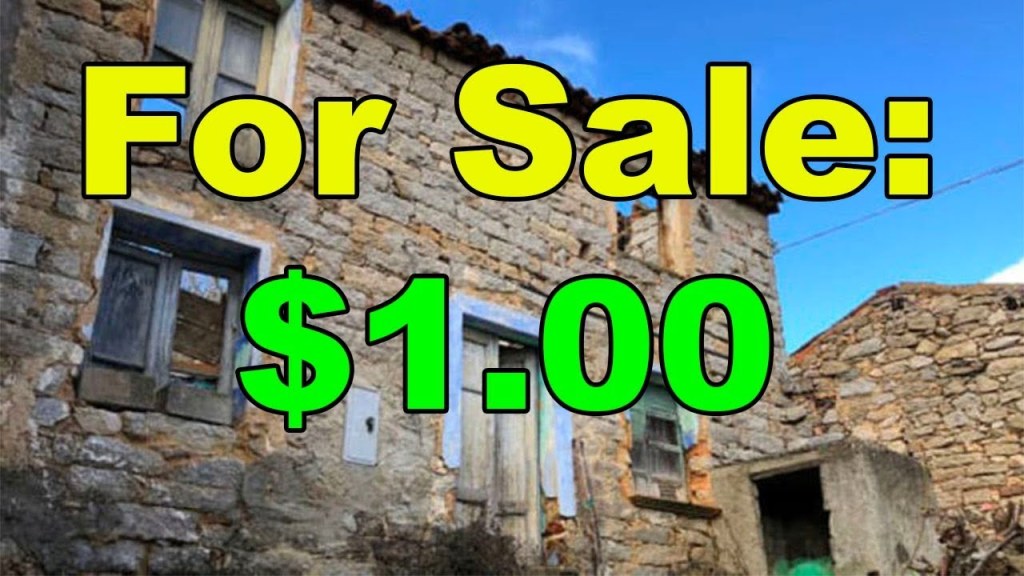 Picture of: The world’s cheapest house? (Only $