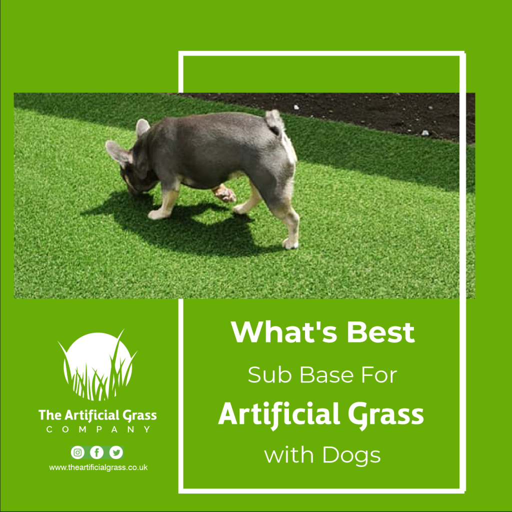 Picture of: What’s Best Sub Base For Artificial Grass with Dogs